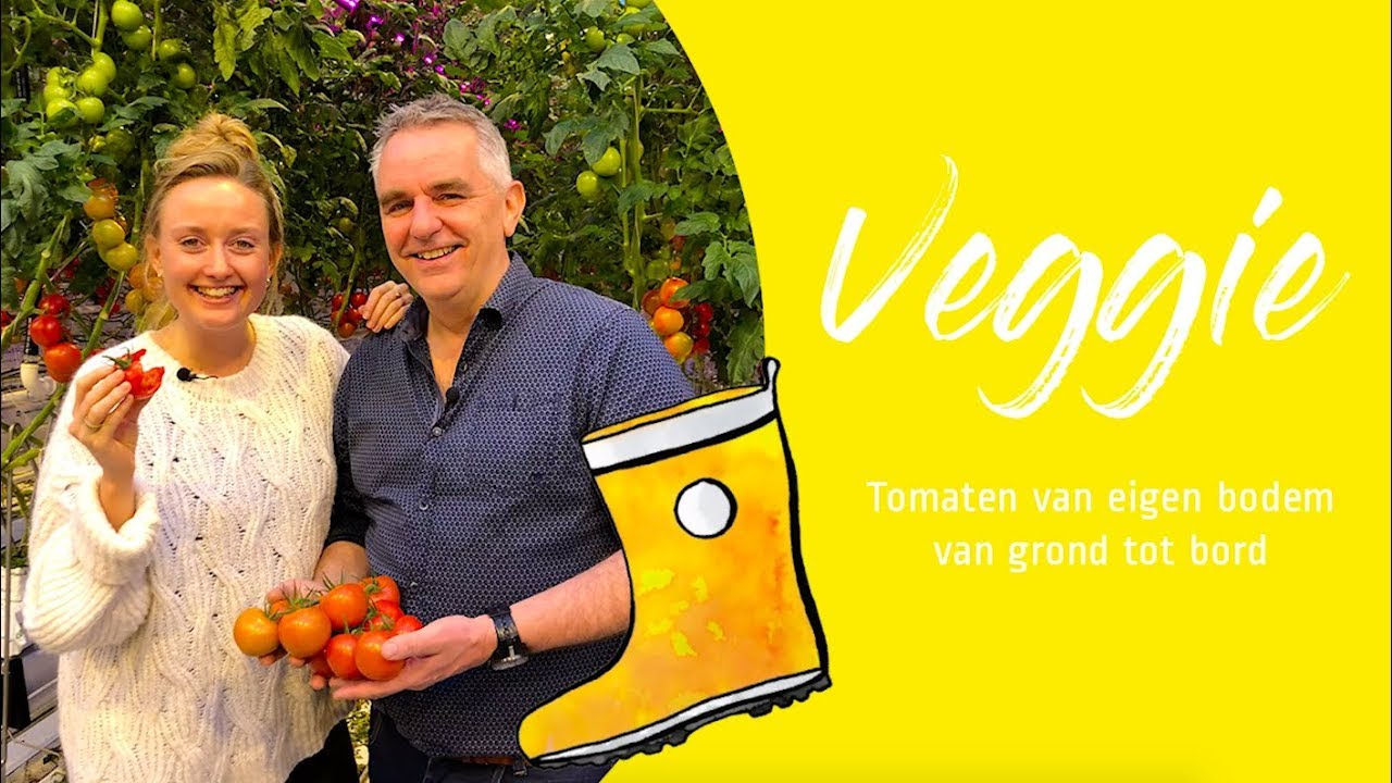 TOMAAT van grond tot bord