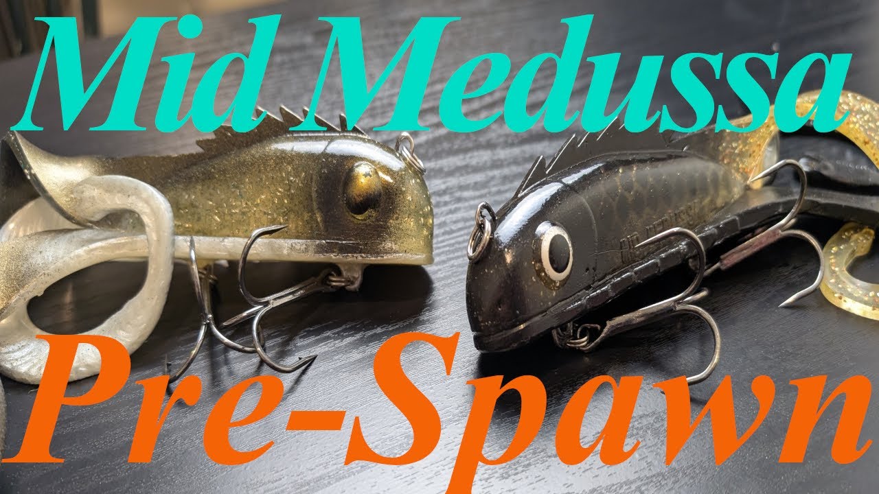 Mid Medussa for PreSapwn Giants
