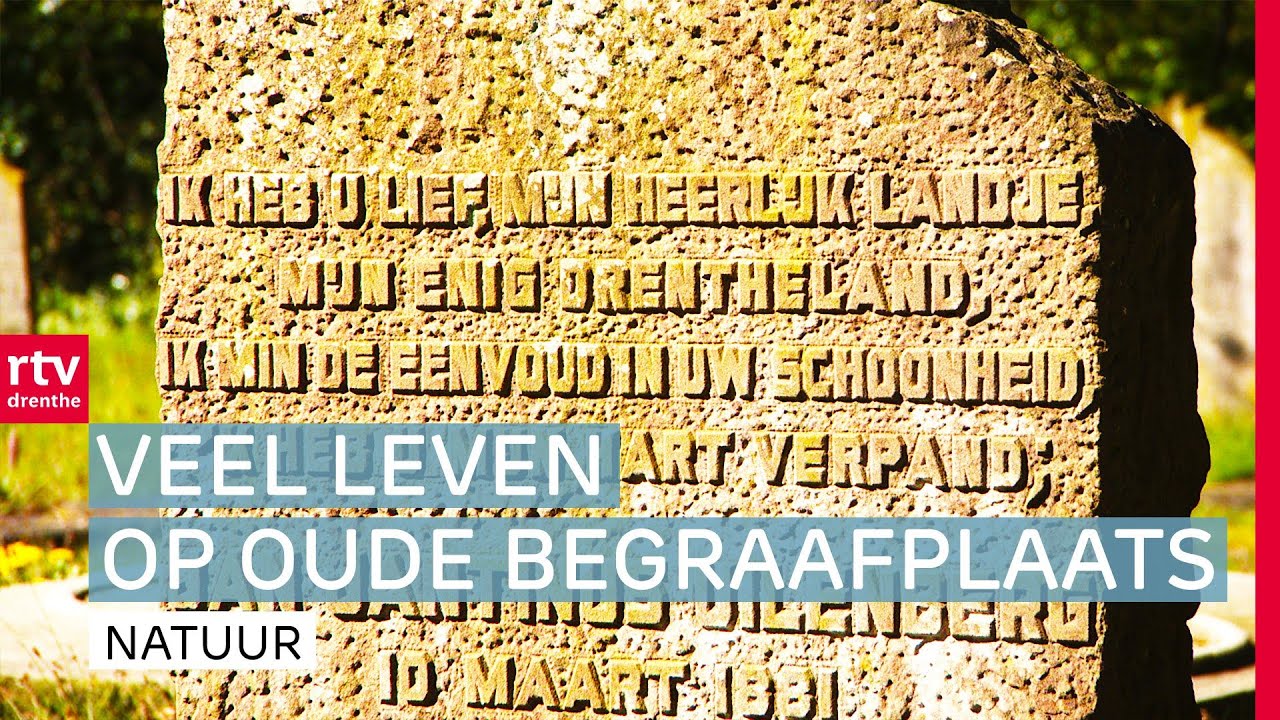 Zwarte grafkorsten en symboliek op de begraafplaats in Zuidwolde | ROEG! | RTV Drenthe