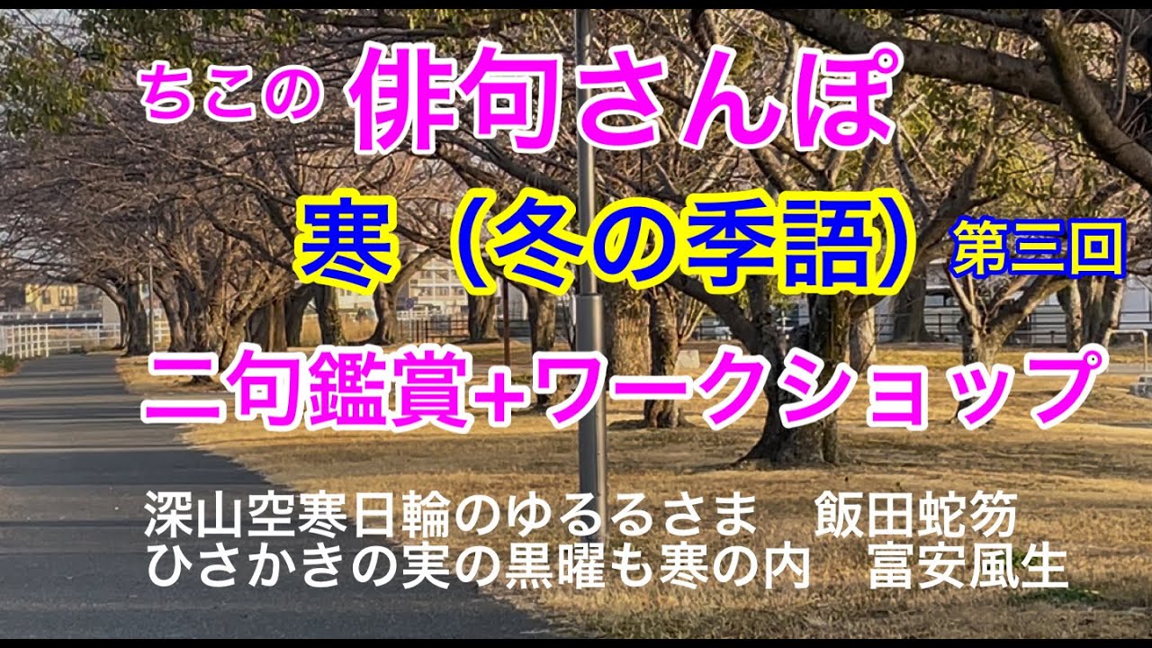 【俳句さんぽ・第230回】寒（冬の季語）第三回、二句ご紹介してワークショップです！