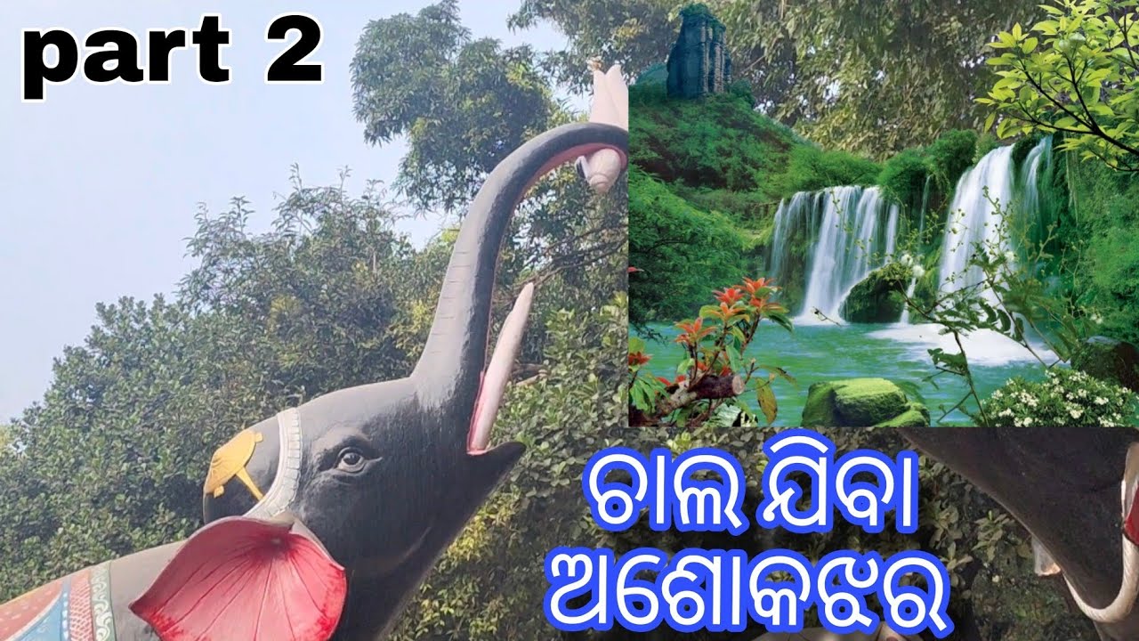 ଚାଲ ଯିବା ଅଶୋକଝର //#youtuber #vlog #familychannel #beautifulfans #fanforever //MUMU KA MOM 