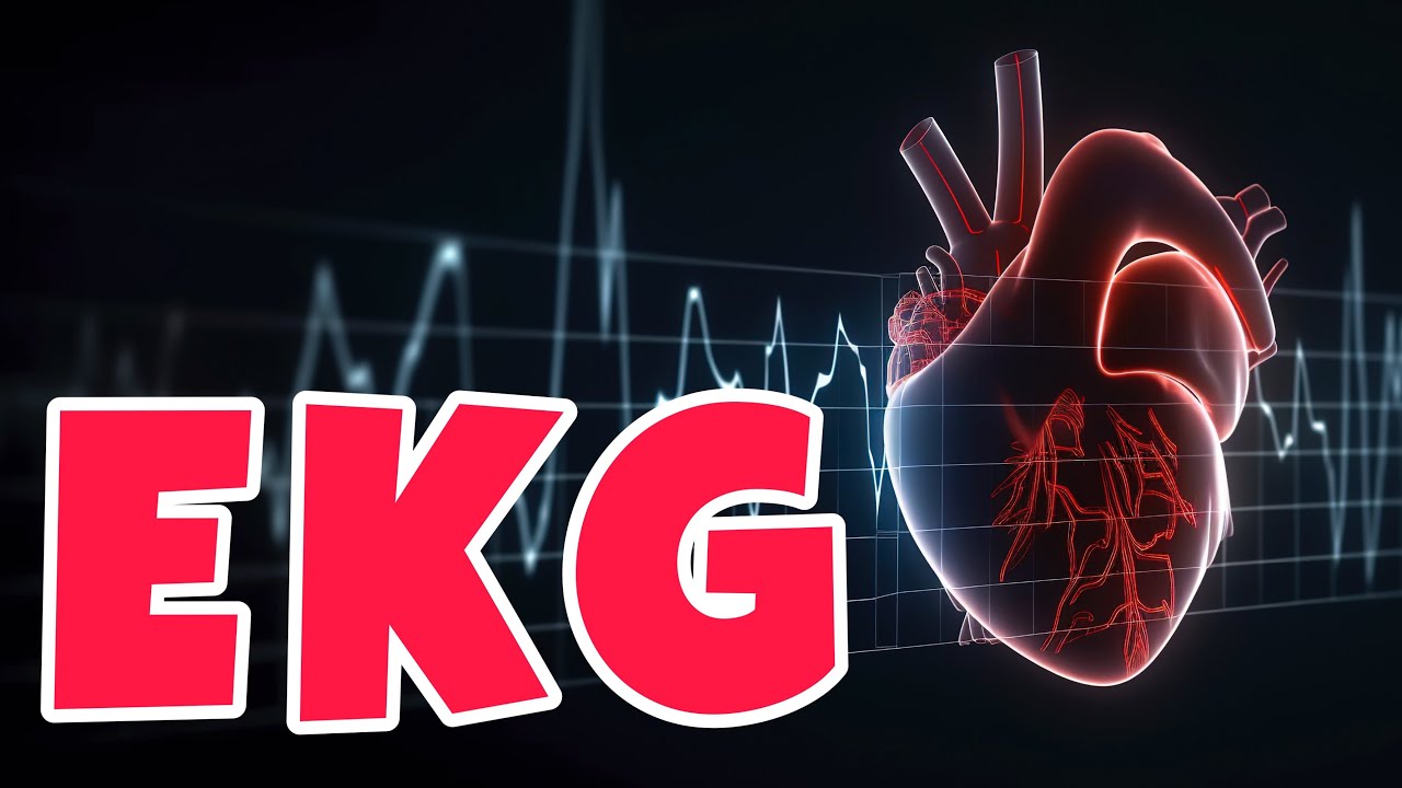 EKG POLOPATĚ: NEJPOUŽÍVANĚJŠÍ VYŠETŘENÍ SRDCE