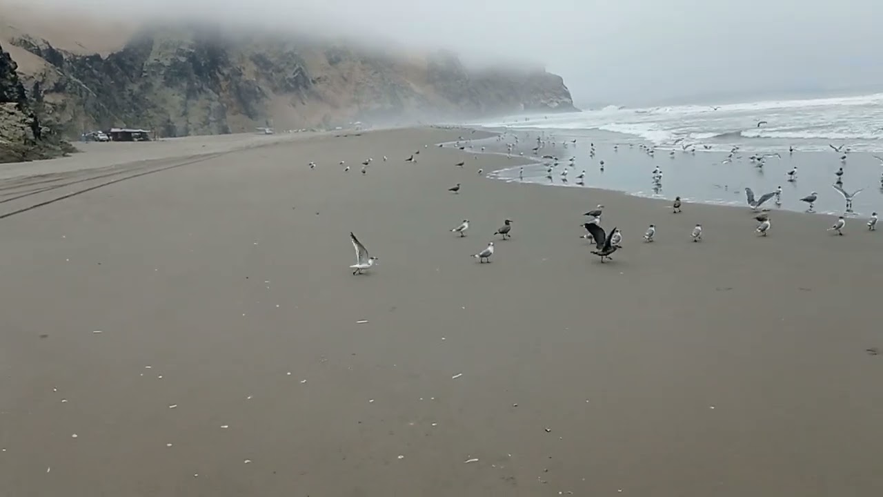 Llegando a Puerto Bonito despu&eacute;s de 2 a&ntilde;os.
