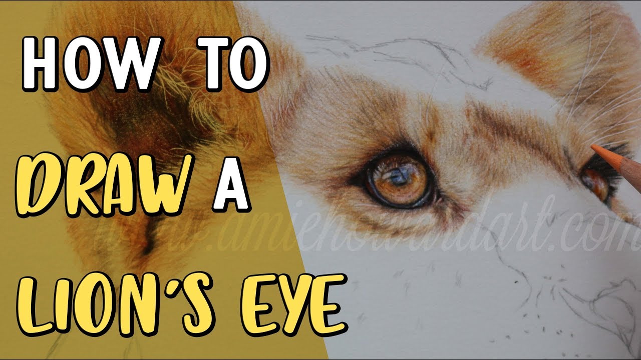 HOW TO DRAW A LION'S EYE | Coloured Pencil Drawing Tutorial