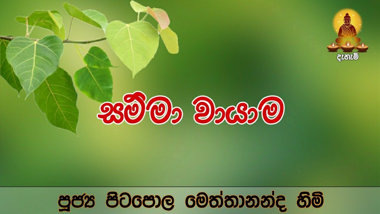 Samma Vayama - සම්මා වායාම | Ven.Pitapola Meththananda Thero - පූජ්&zwj;ය පිට⁣පොල මෙත්තානන්ද හිමි