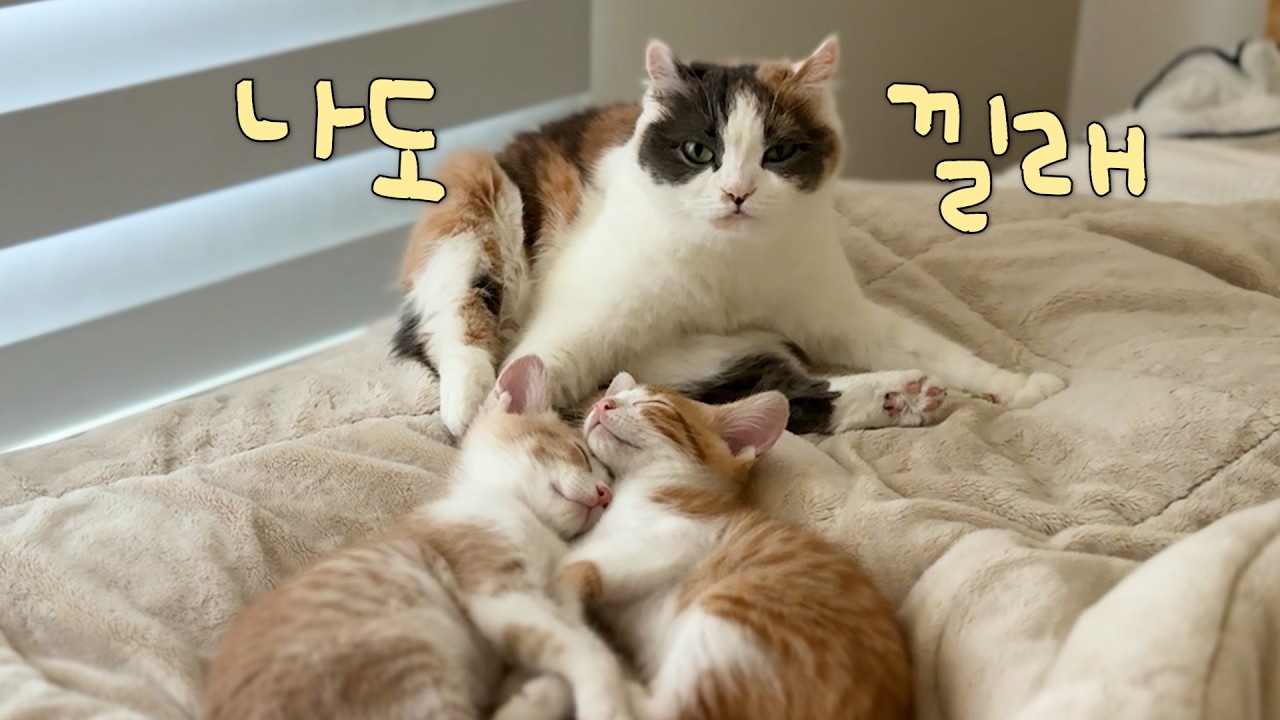 드디어 셋을 한 앵글에 담았다...!