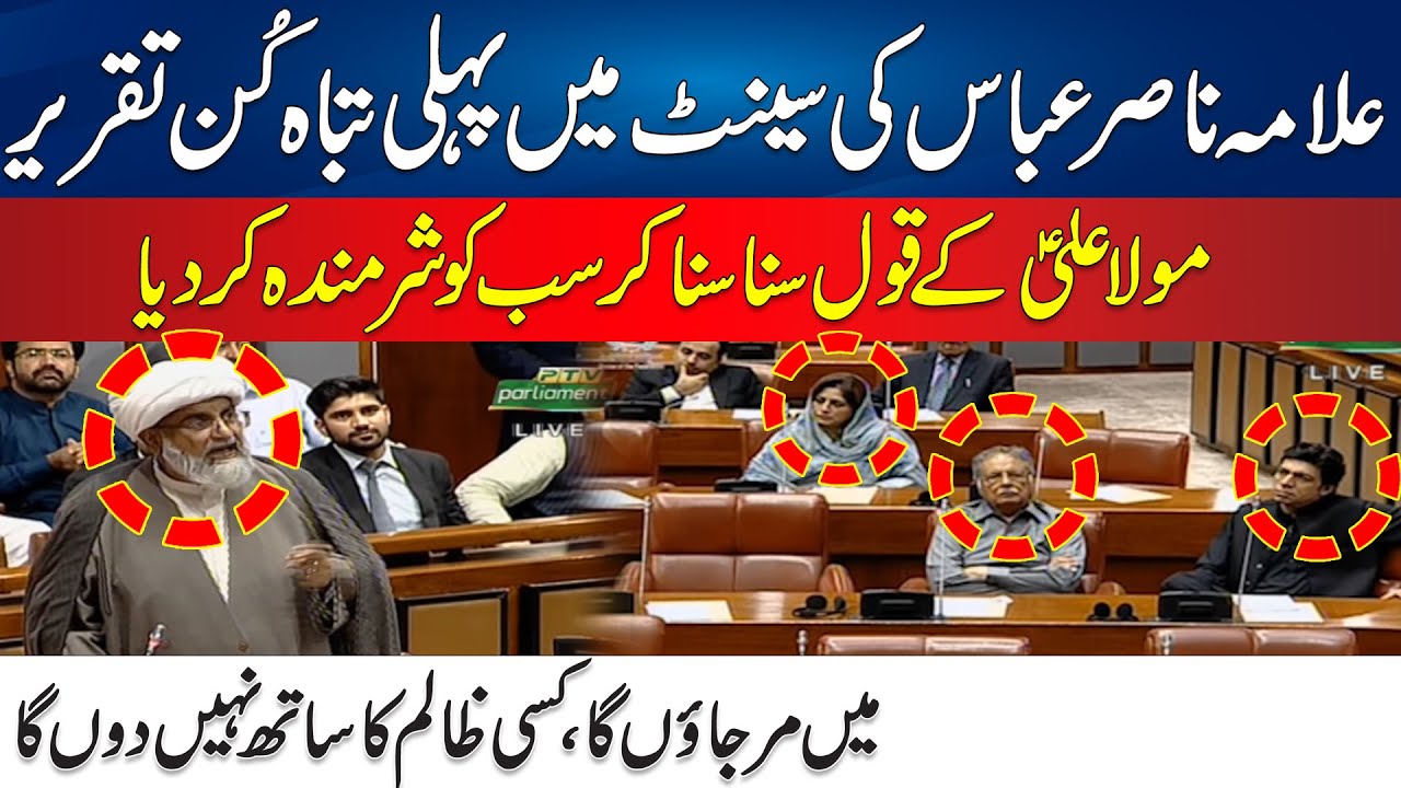 Raja Nasir Abbas First Speech In Senate | Everyone Shocked | Senate Session | 24 News HD