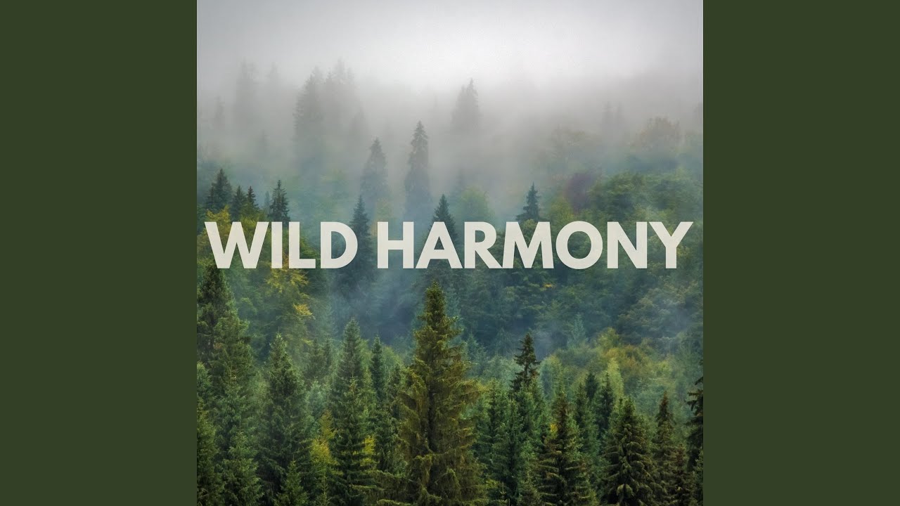 Wild Harmony