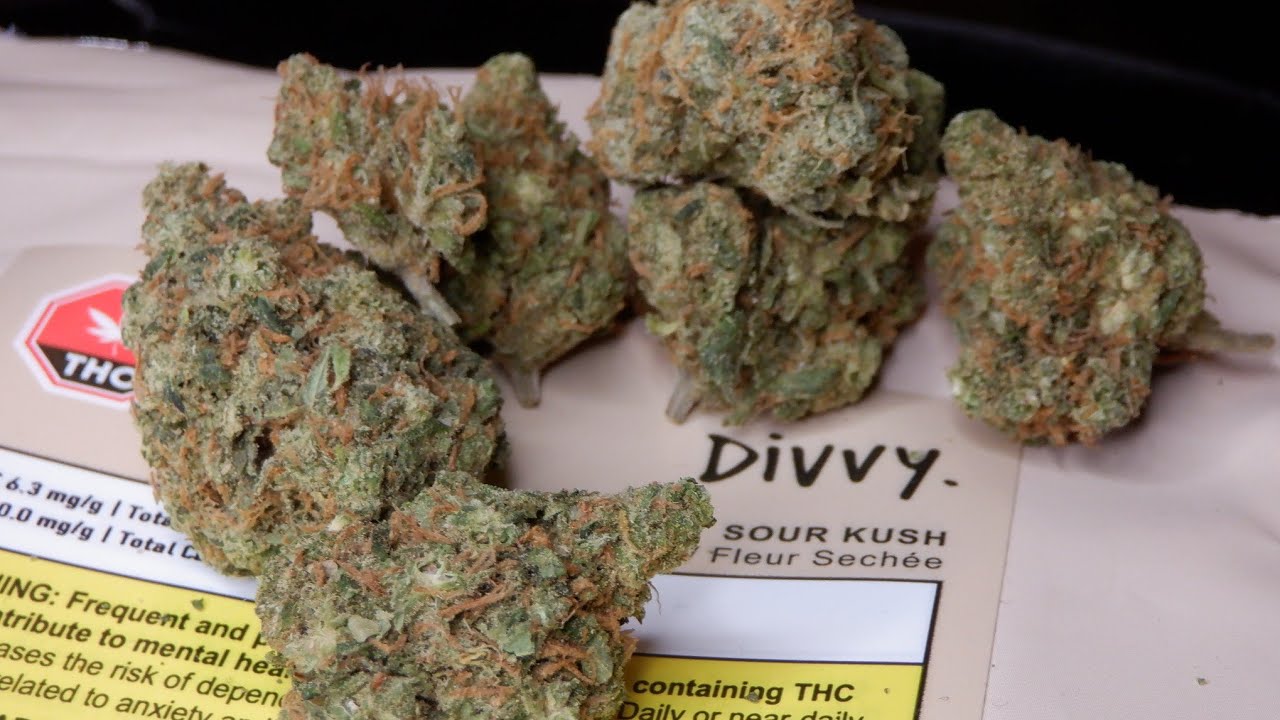 Strain Review Sour Kush By Divvy