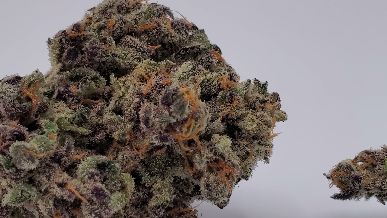 Slurricane IX Pheno #2