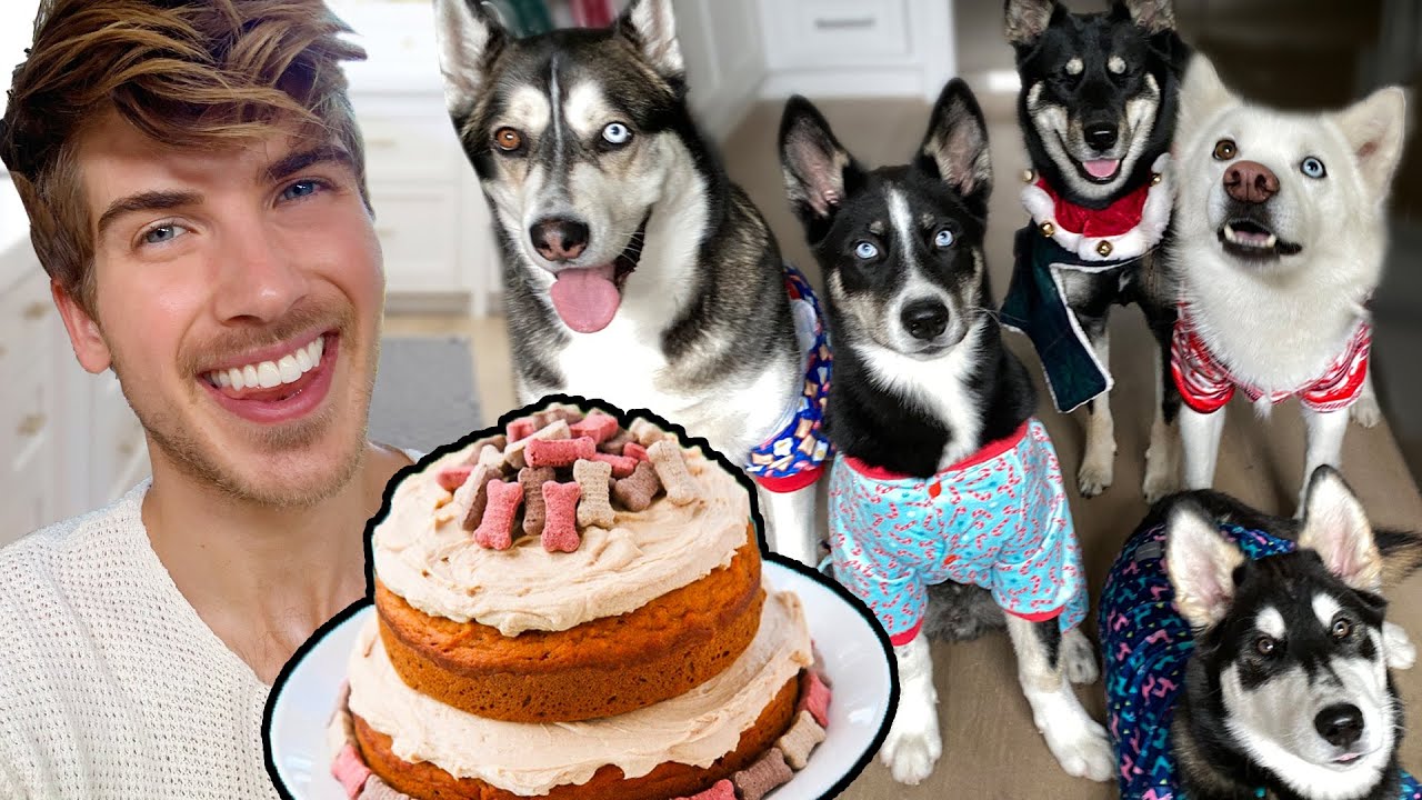 I Baked A Cake For My Puppies!