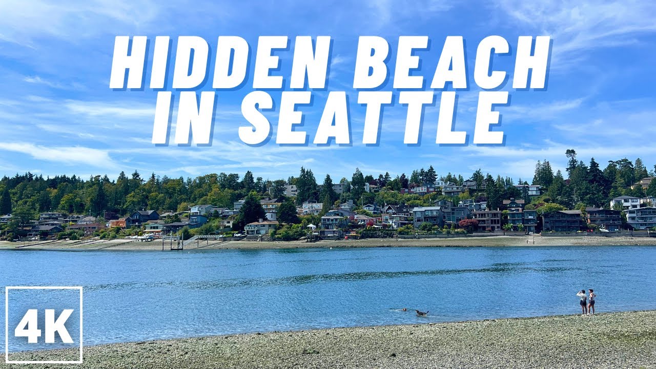 Hidden Beach in Ballard, Seattle 🌊 1 Hour of Relaxing Waves & Nature Sounds (ASMR)