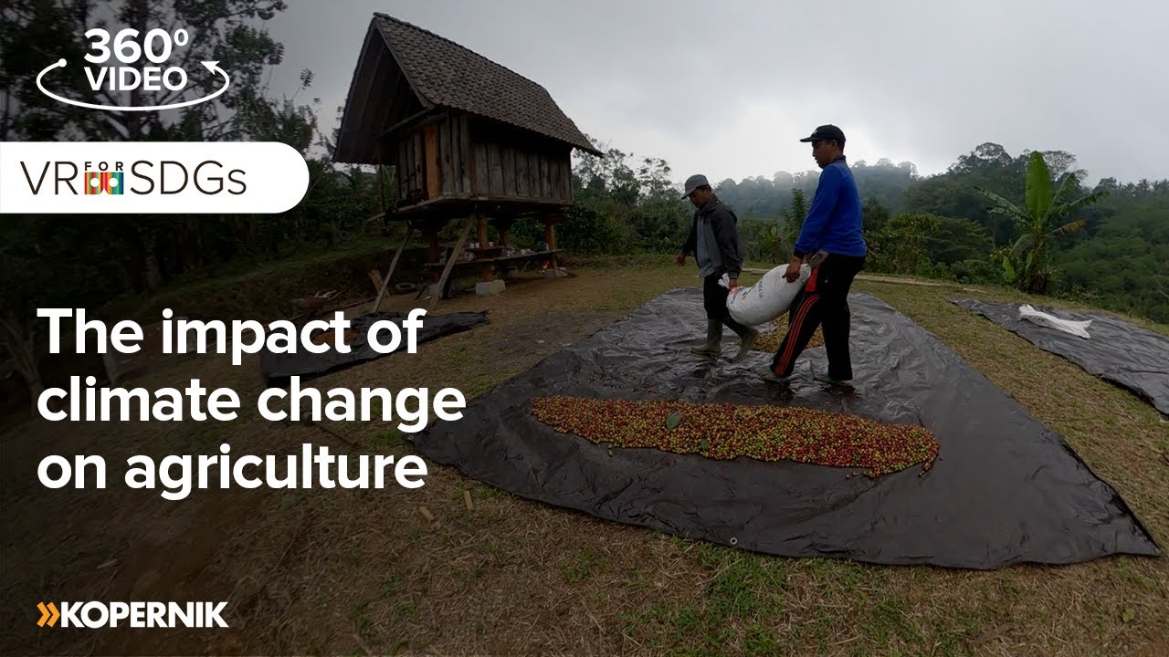 The impact of climate change on agriculture