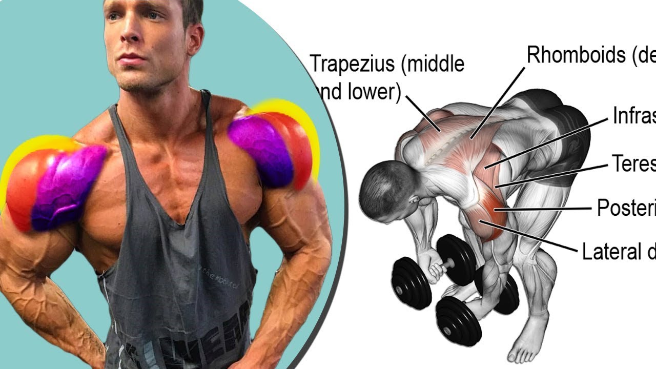 تمارين الكتف كمال الاجسام جدول تدريبي  ( shoulder exercises )