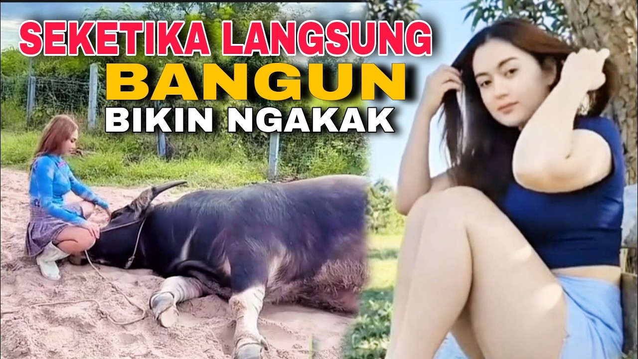 MATI SURI ‼️ MOMEN PALING KOCAK BANGET‼️ TERBARU BIKIN NGAKAK