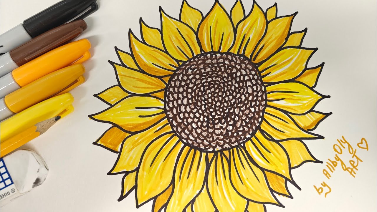 DESENAM FLOAREA SOARELUI 