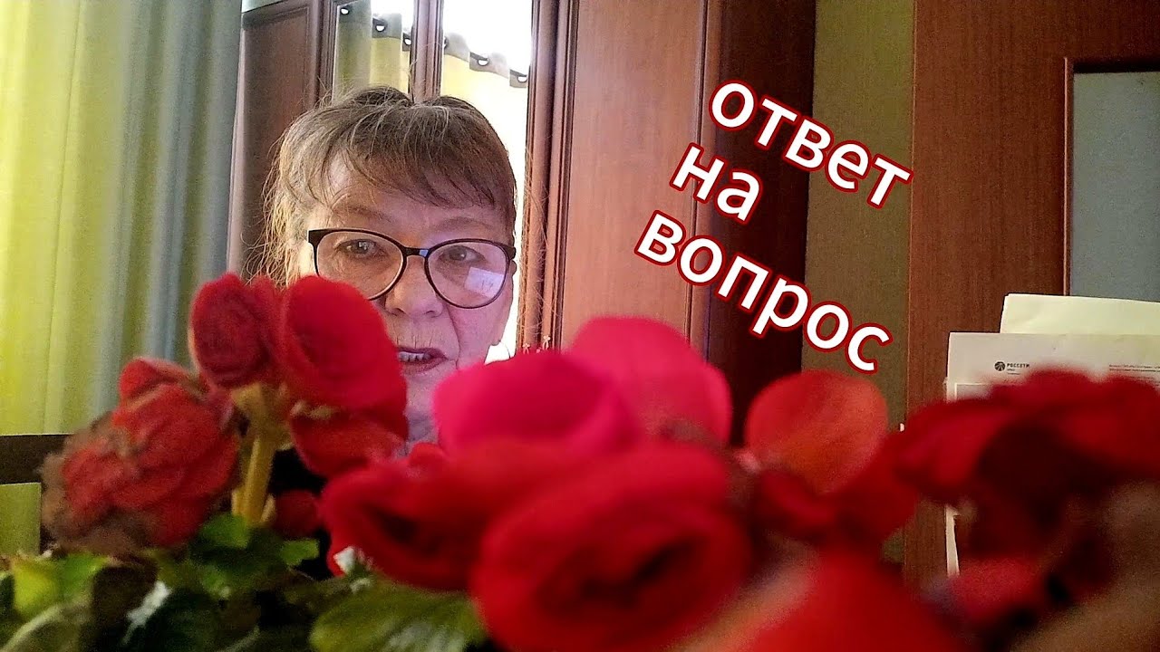 Дело Леокадии Переваловой.Смерть в парке львов Тайган