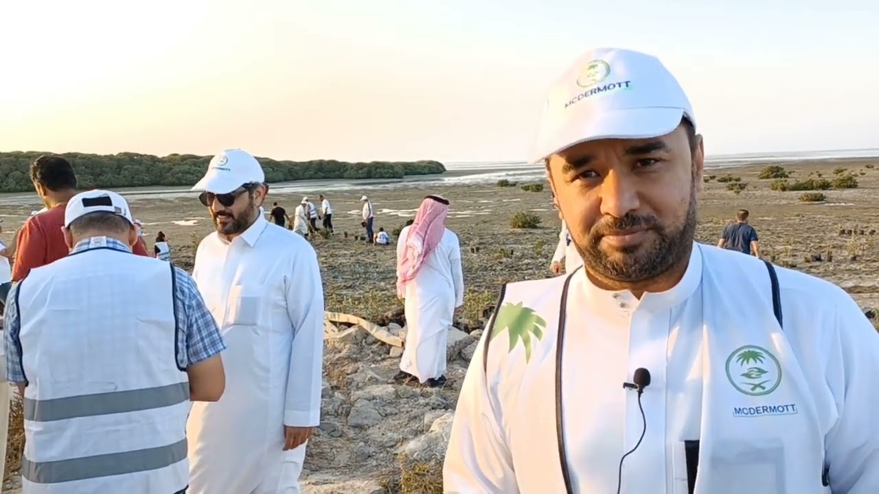 مبادرة زراعة أشجار المانجروف على ساحل جزيرة تاروت