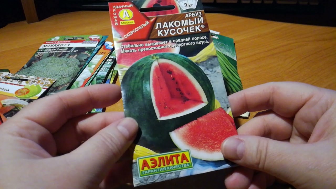 Капуста, кабачки, тыквы и фасоль на 2022 год