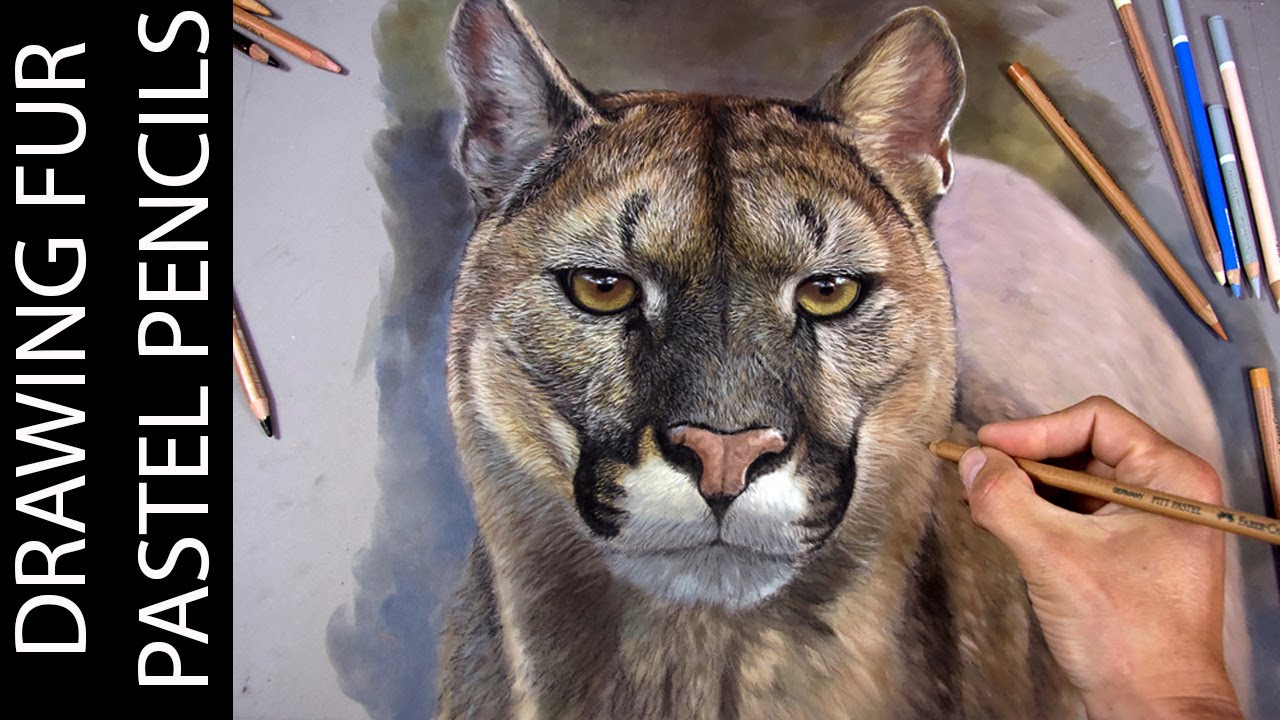 Рисование меха пастельными карандашами Soft Pastel Pencils