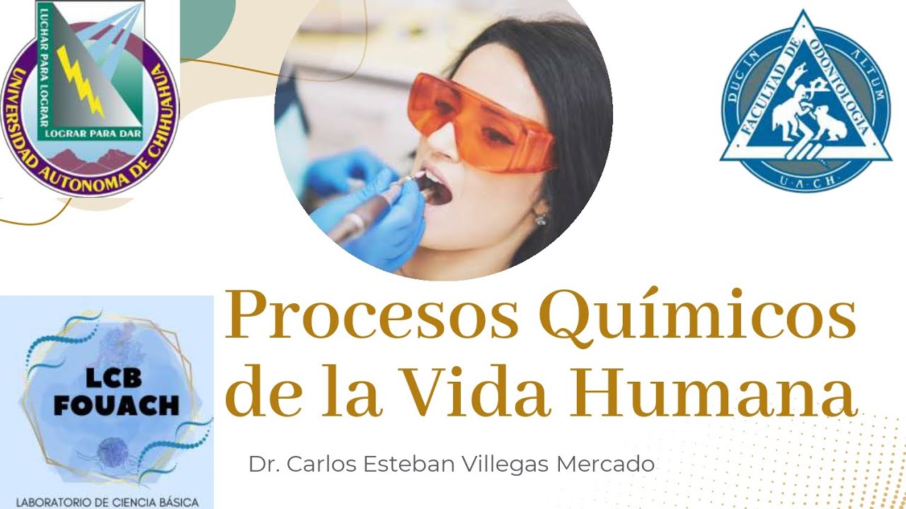 Procesos químicos de la vida humana