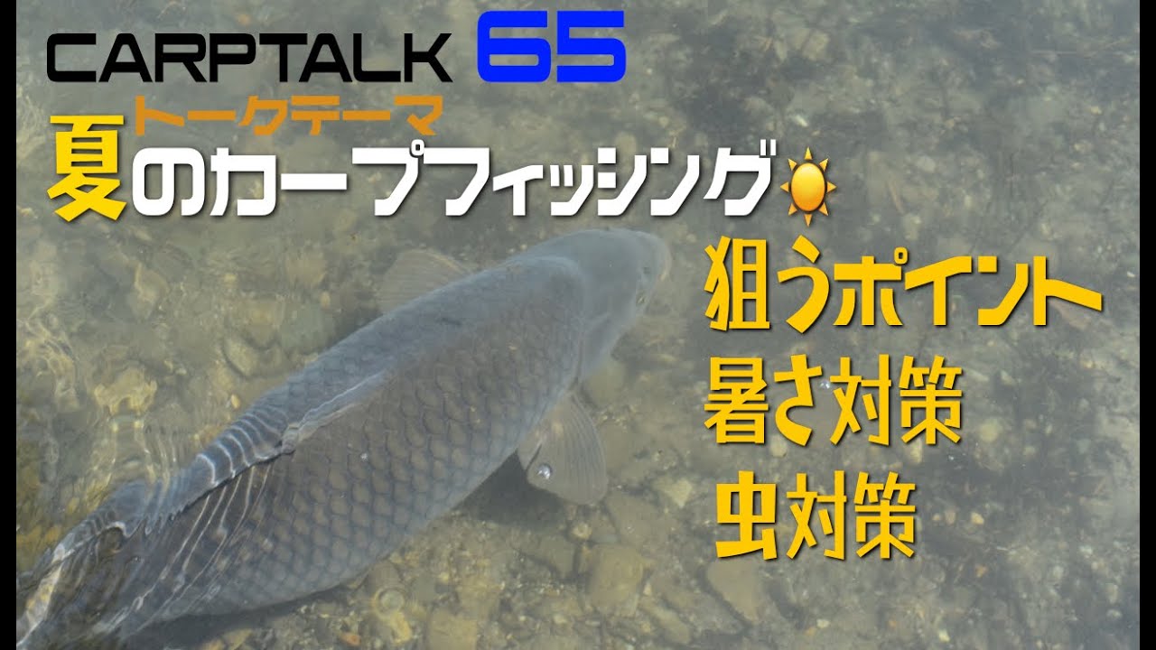 Carp Talk vol.65「夏のカープフィッシング☀️で押さえておきたい事を語る！[カープロード] [カープフィッシング] [鯉釣り] [夏の釣り]