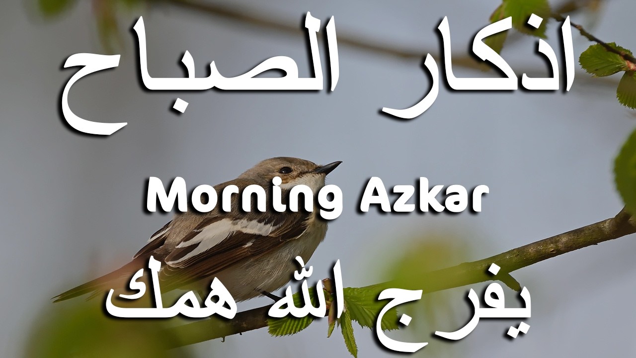 اذكار الصباح بصوت يريح قلبك راحه نفسيه💚حصن نفسك وبيتك من الشيطان علاء عقل Morning adhkar
