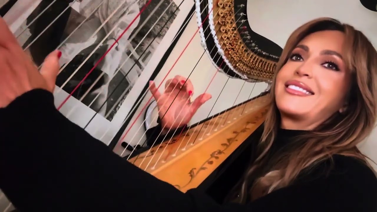 One Moment In Time- Whitney Houston- Harp Cover