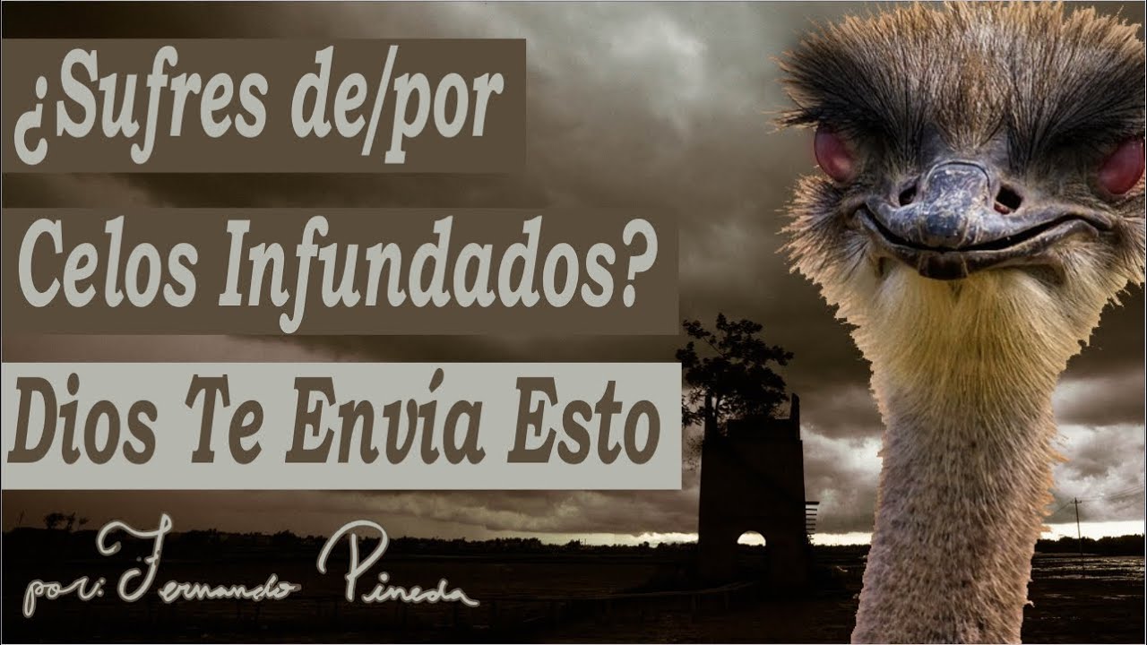 La Avestruz Que Comprendió Por Qué Su Esposo Era Celoso - Reflexión Que TODA Pareja Debe Escuchar
