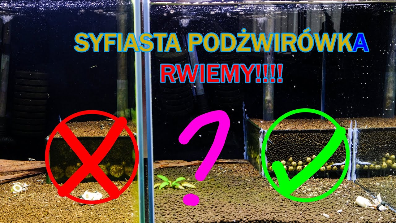 Filtracja podżwirowa FATALNA?!?! - wszyscy rwą w krewetkarium