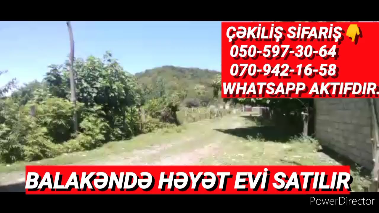 253.Balakəndə ev ilə fındıq bağı satılır.Qiyməti 65 000 AZN.