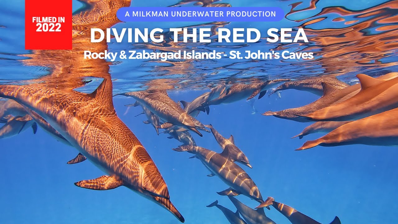 DIVING THE RED SEA - ROCKY & ZABARGAD ISLANDS - ST. JOHN'S CAVES