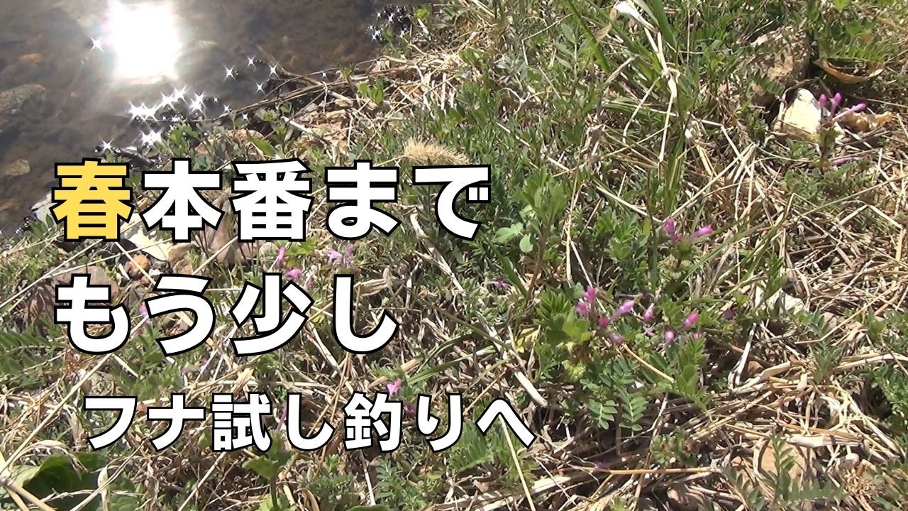 2月末日、乗っ込み前のフナ釣り