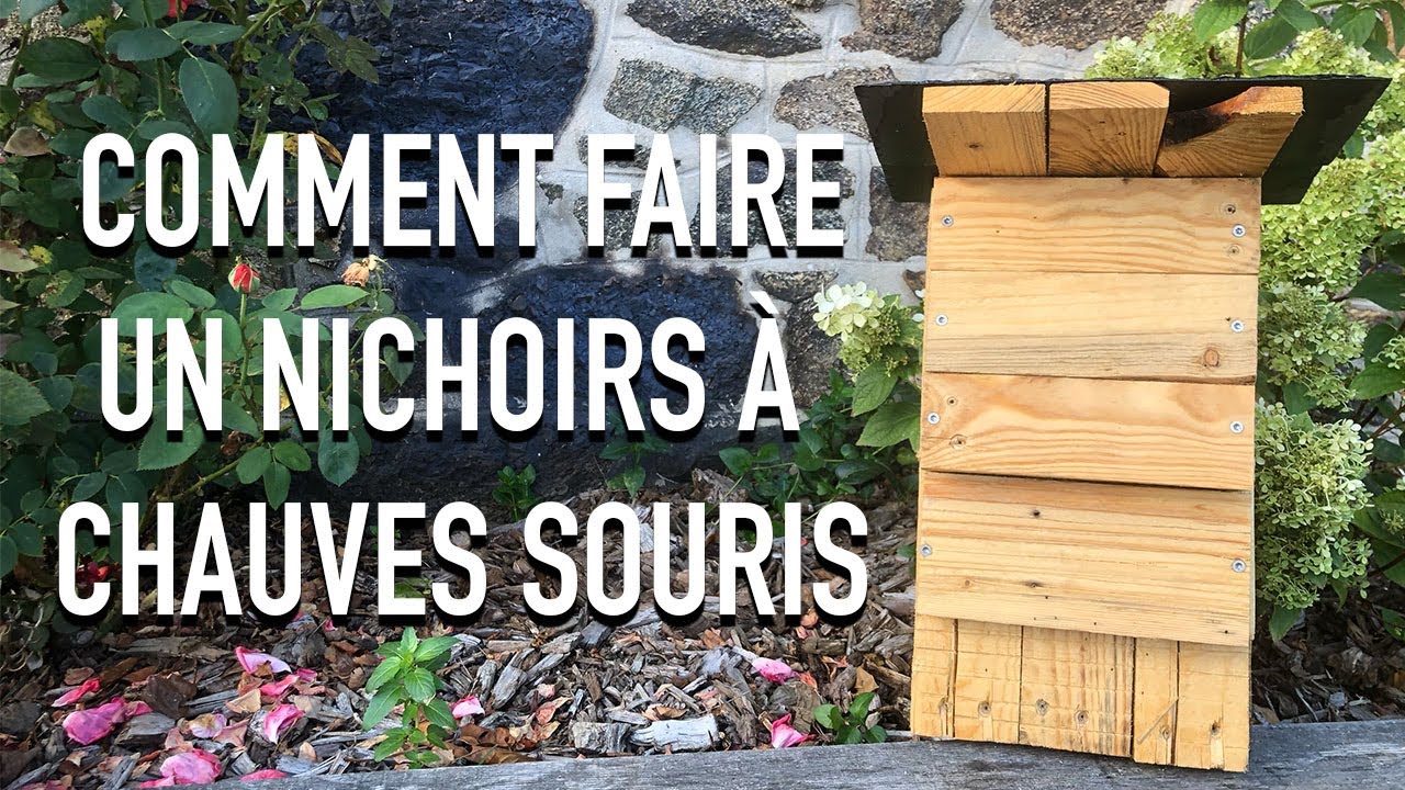 COMMENT FAIRE UN NICHOIR A CHAUVES SOURIS ??