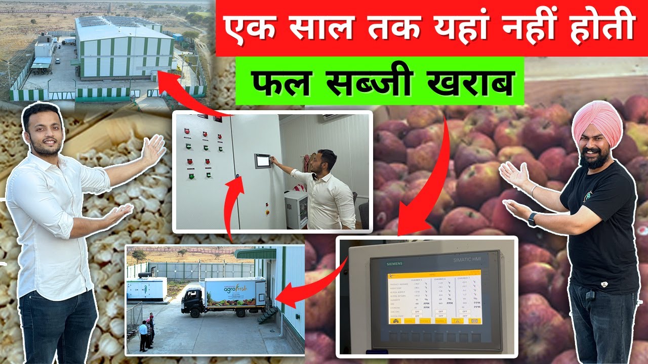 इस तकनीक से कभी ख़राब नहीं होते फल सब्ज़ियाँ || Hi-Tech store of fruits and vegetables 🇮🇳