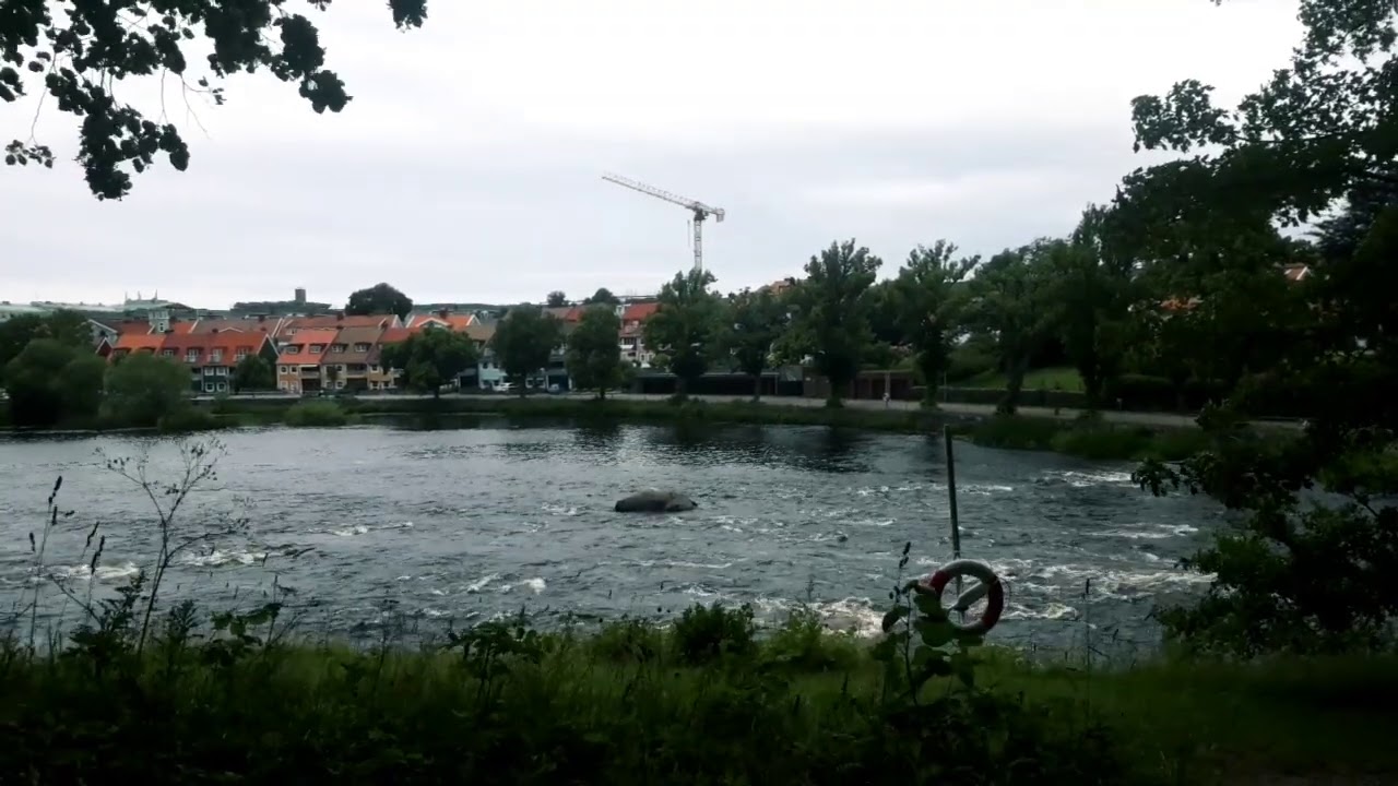 By Lily ( &Auml;tran River, Falkenberg )