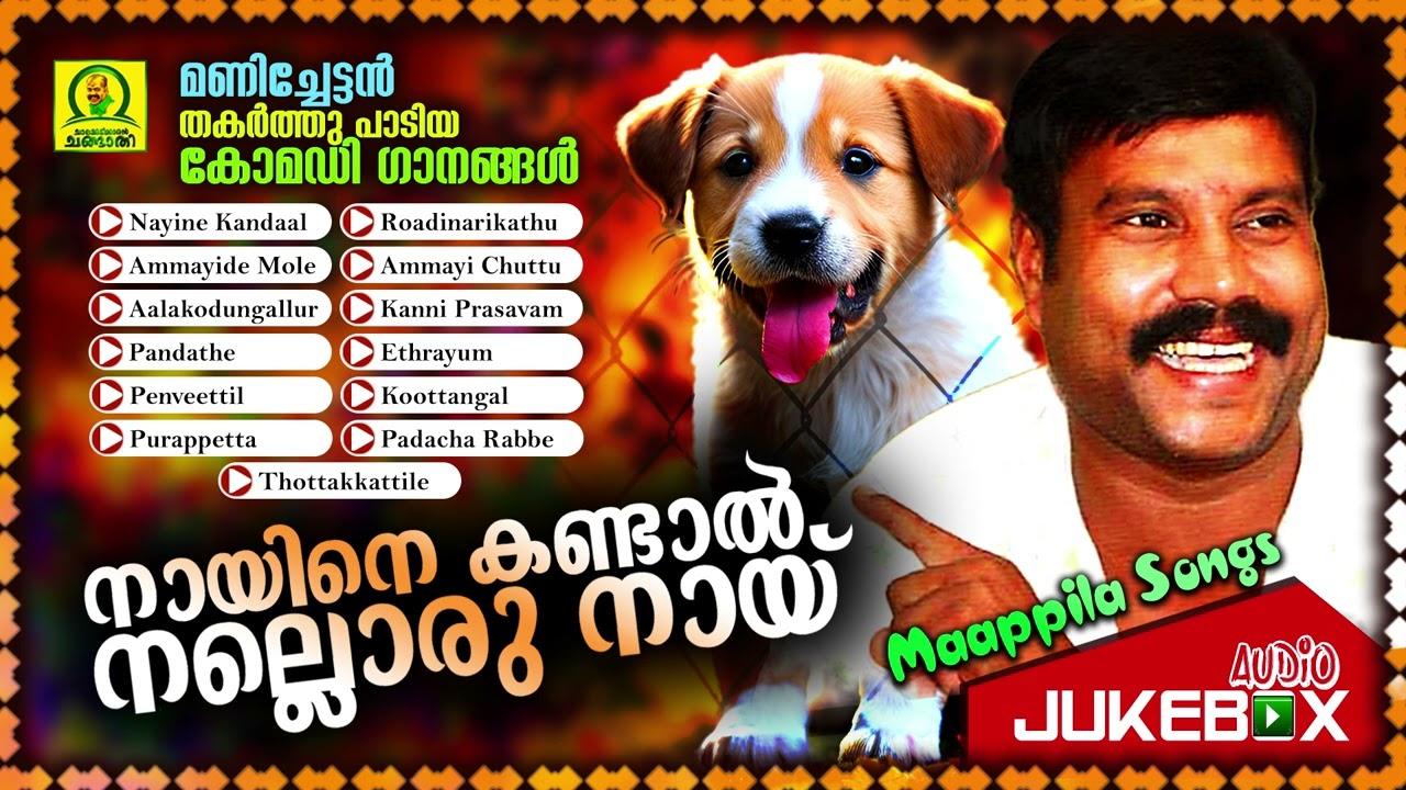 Naayine Kandaal Nalloru Naayi | Manichettan Thakarthu Paadiya Comedy Gaanangal |  Mappila Songs