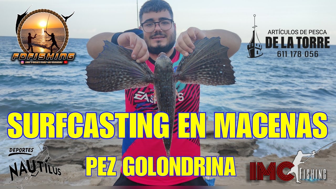SURFCASTING EN MACENAS - CAPTURA PEZ GOLONDRINA-