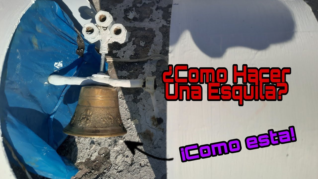 ¿Como Hacer Una Esquila Manual O Eléctrica? Ven, Aquí Te Lo Explicó.