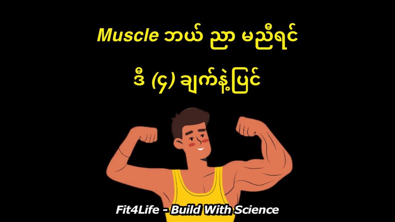Muscle ဘယ် ညာ မညီရင် ဒီ (၄) ချက်နဲ့ပြင်
