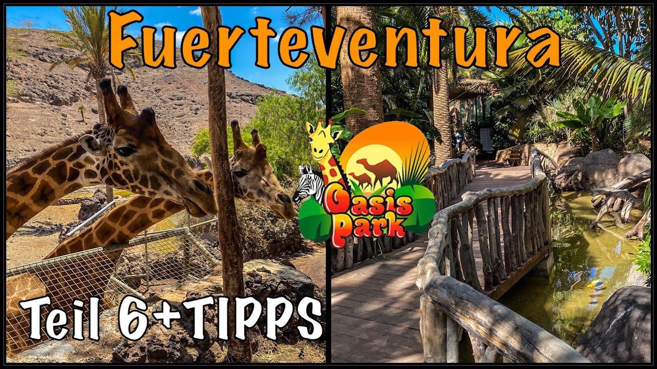 Fuerteventura Urlaub mit top Tipps Teil 6 Oasis Park (Costa Calma)
