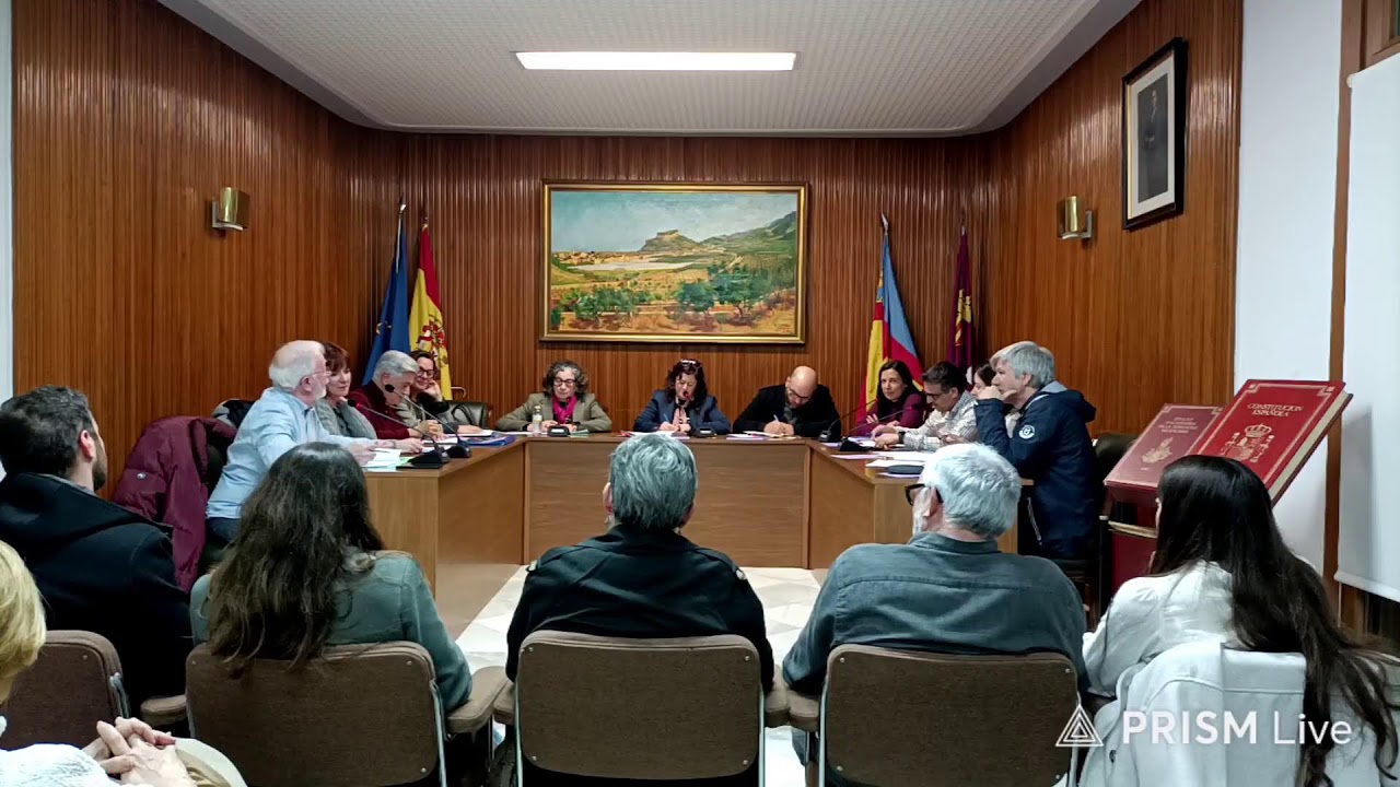 Ple ordinari de gener