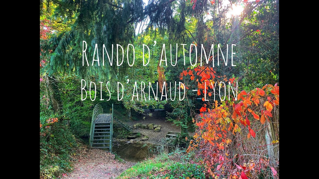 Rando dans le bois d'Arnaud (Chanapost - Lyon)