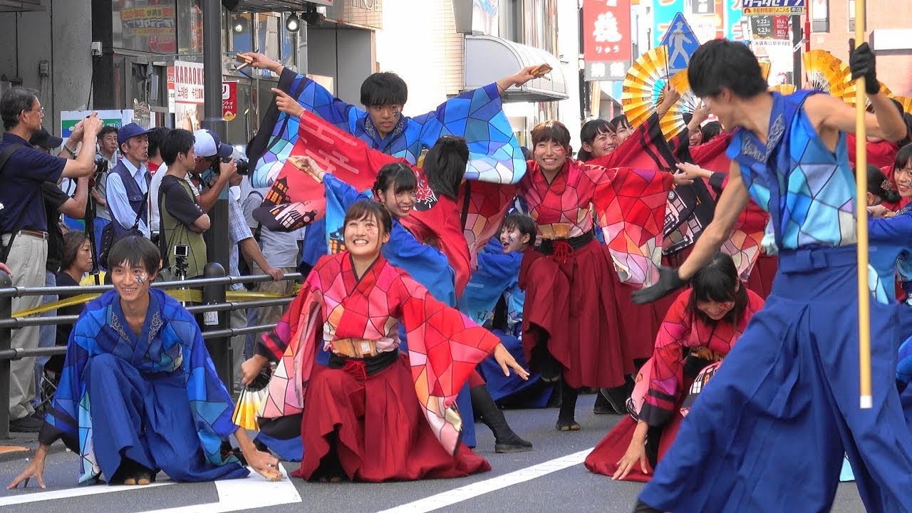 早稲田大学 東京花火【ハヰカラ】東京よさこい　みずき通り