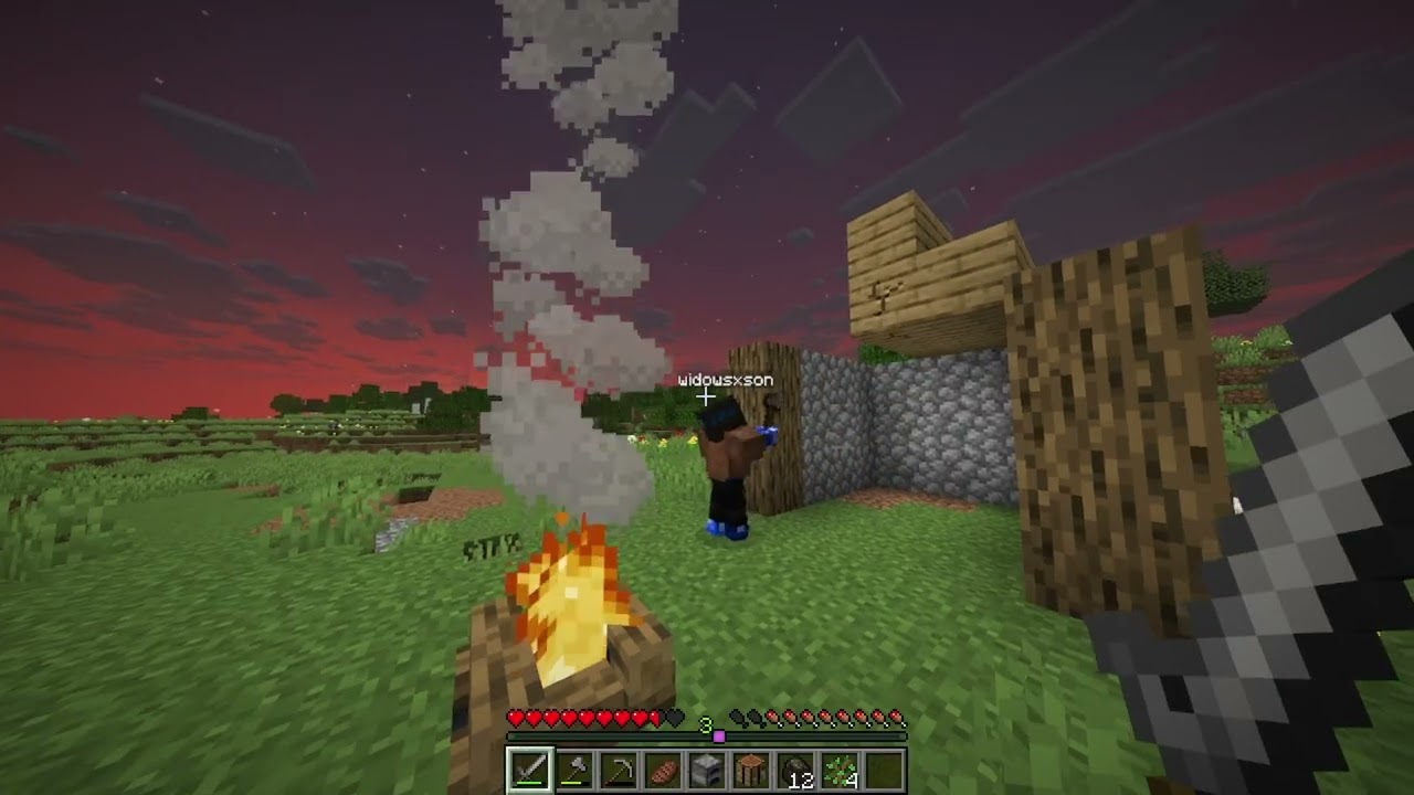 Survival Minecraft (part1)