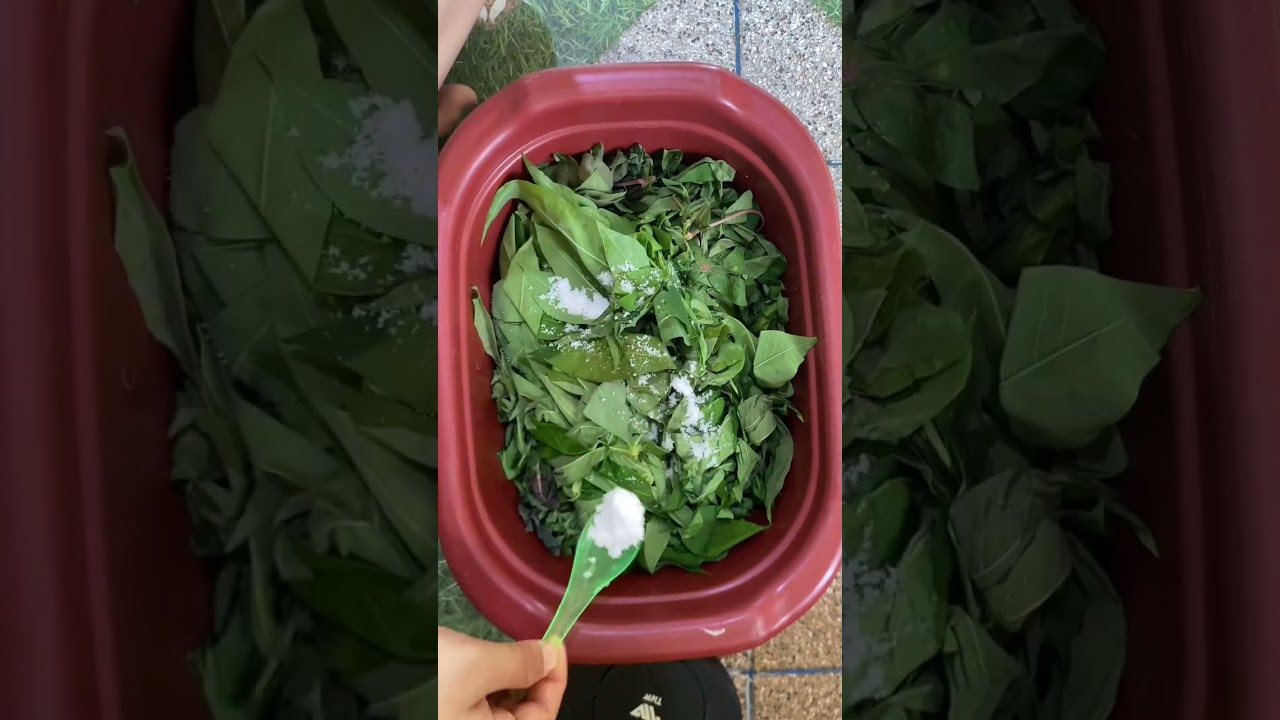 Masak apa hari ini ? || DAILYVLOG #adayinmylife 