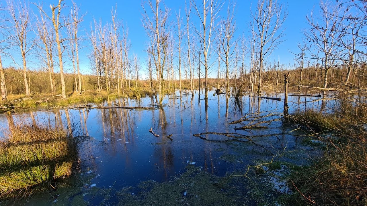 Fahrradtour Aurich 44 Km am Ems Jade Kanal, Moorwald Plaggenburg, Badesee Tannenhausen Großsteingrab