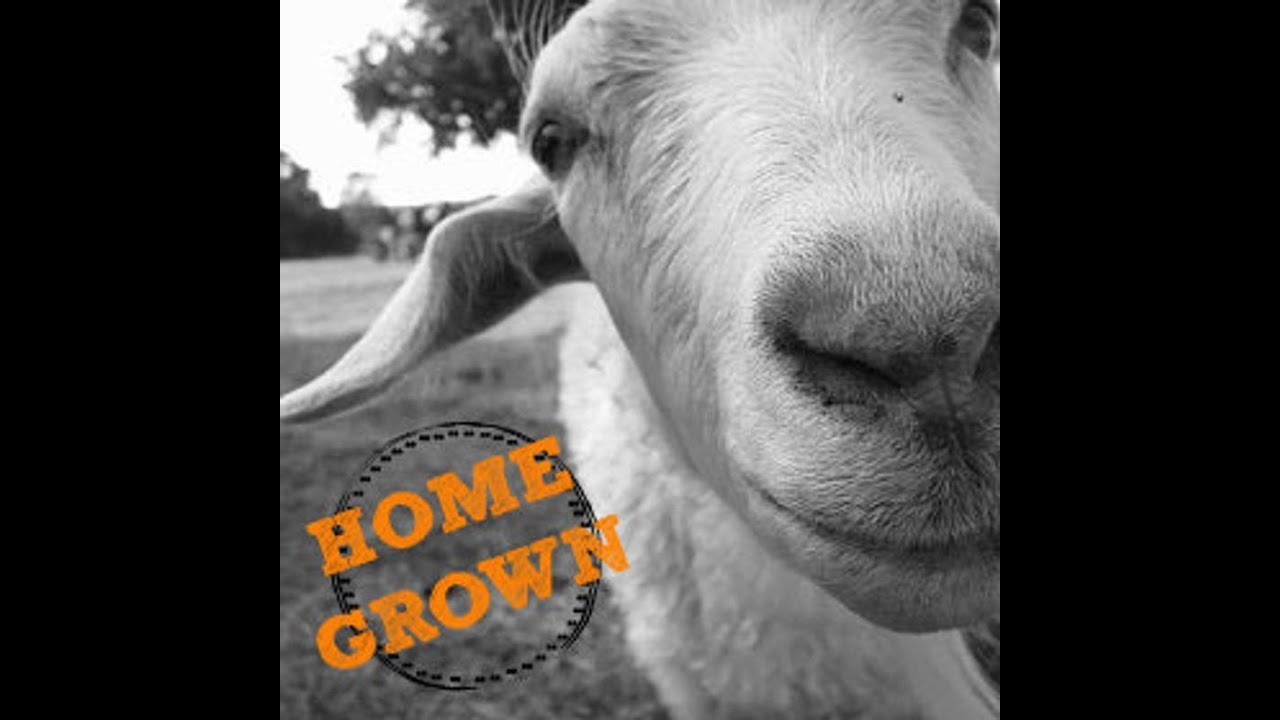 Farm Inspiration