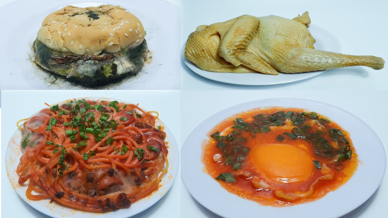 Rotting Food 365 Days Time Lapse Compilation