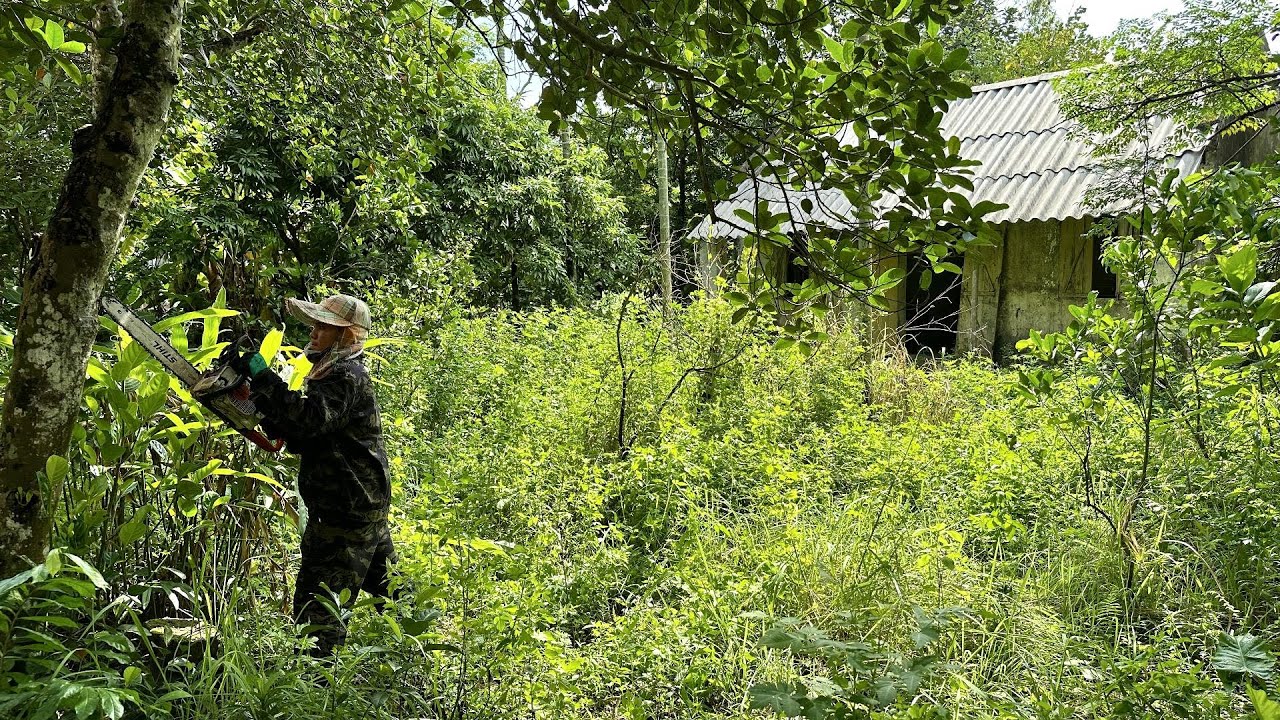 Transformation help cut the overgrown lawn cleanup the garden the house with many fruit trees